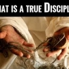 Az igaz tanítvány/True Disciples