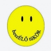 Beszélő tükör