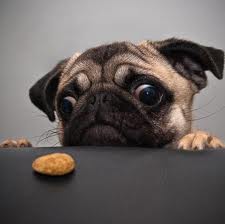 Mindent a szemnek?……