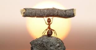 Én Vagyok a Cél, a Mód, és a megvalósulás Garanciája