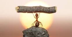 “Én Vagyok” a Cél, a Mód, és a megvalósulás Garanciája